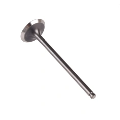 Ventil výfuku - CFMOTO RX510,RX530                                                                                                                                                                                                                        