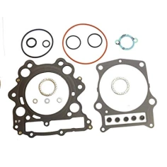 Sada těsnění hlava válec Grizzly 660                                                                                                                                                                                                                      