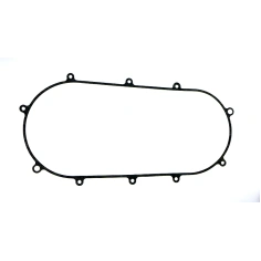 Těsnění variatoru Access 250,300,400                                                                                                                                                                                                                      