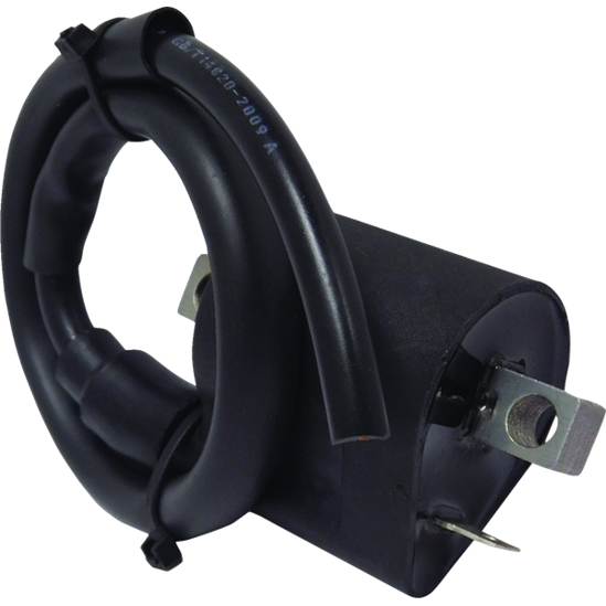 Indukční cívka Yamaha                                                                                                                                                                                                                                     