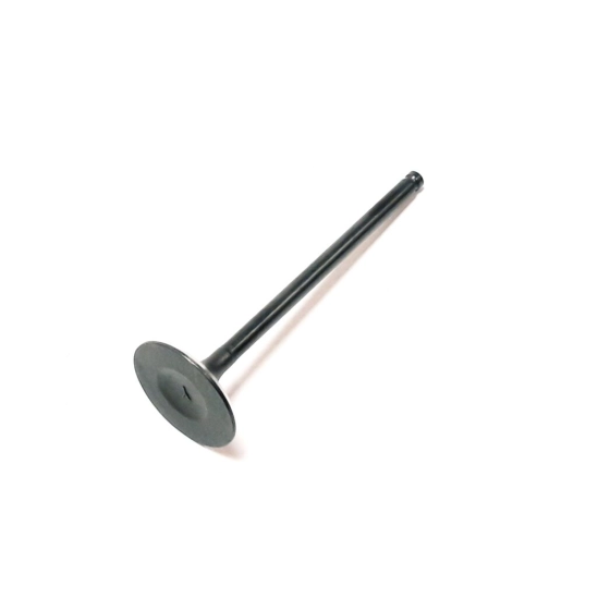 Ventil sání Linhai 500                                                                                                                                                                                                                                    