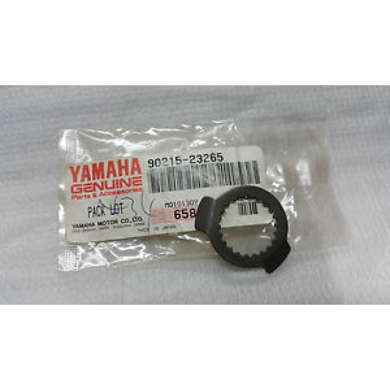 Zajištění matice řeť. kolečka Raptor 250                                                                                                                                                                                                                  