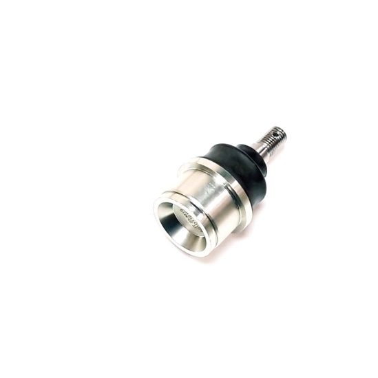 Čep ramene dolní Linhai                                                                                                                                                                                                                                   