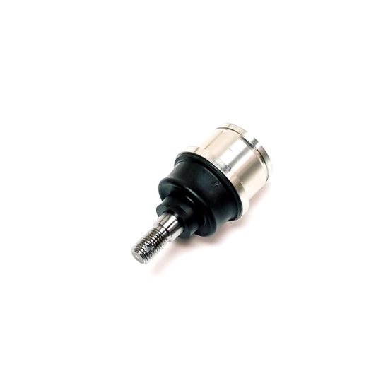 Čep ramene dolní Linhai                                                                                                                                                                                                                                   