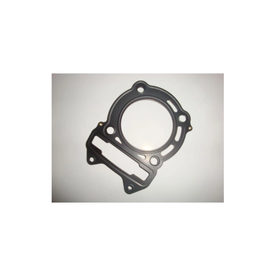 Těsnění hlavy válce Access 300                                                                                                                                                                                                                            