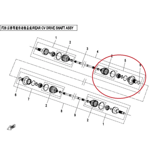 Kloub poloosy Gladiator                                                                                                                                                                                                                                   
