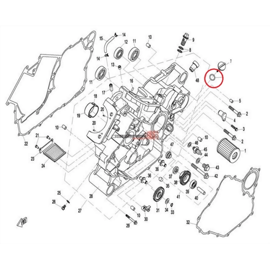 O-kroužek Gladiator                                                                                                                                                                                                                                       