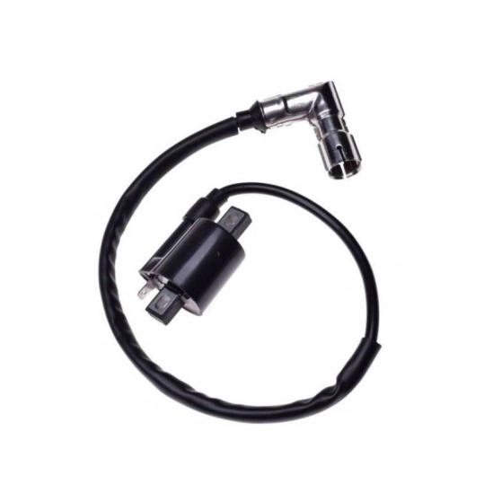 Indukční cívka 200/250cc                                                                                                                                                                                                                                  